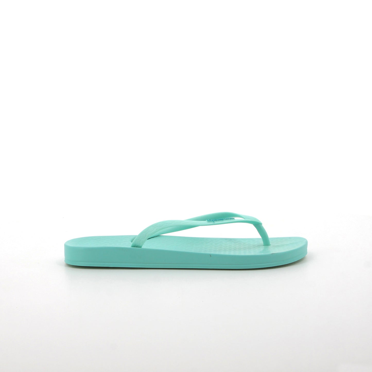 Anatomica Colours - Mint