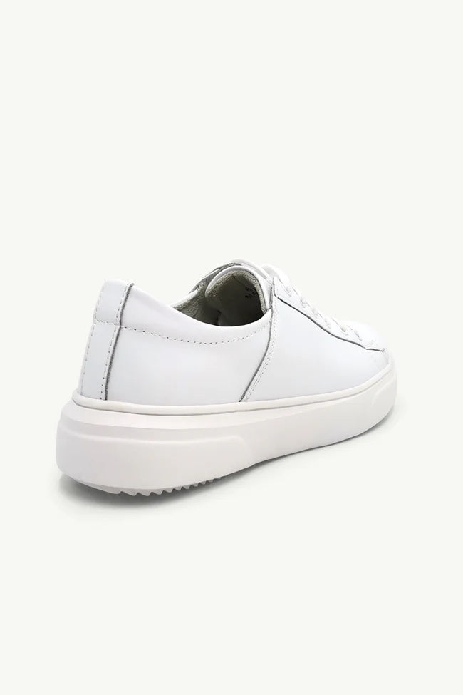 Leather White Roman Sneaker